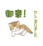 よちよち子猫の毎日（個別スタンプ：40）