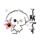 愛犬の名前になる♡マルチーズのカスタム（個別スタンプ：1）