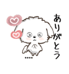 愛犬の名前になる♡マルチーズのカスタム（個別スタンプ：7）