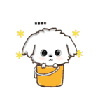 愛犬の名前になる♡マルチーズのカスタム（個別スタンプ：8）
