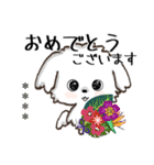 愛犬の名前になる♡マルチーズのカスタム（個別スタンプ：13）