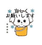 愛犬の名前になる♡マルチーズのカスタム（個別スタンプ：15）