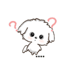 愛犬の名前になる♡マルチーズのカスタム（個別スタンプ：19）