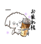 愛犬の名前になる♡マルチーズのカスタム（個別スタンプ：21）