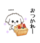 愛犬の名前になる♡マルチーズのカスタム（個別スタンプ：23）