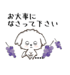 愛犬の名前になる♡マルチーズのカスタム（個別スタンプ：25）