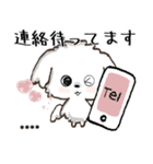 愛犬の名前になる♡マルチーズのカスタム（個別スタンプ：30）