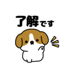 とびだす！敬語のもちころワンコ（個別スタンプ：6）