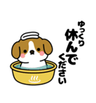 とびだす！敬語のもちころワンコ（個別スタンプ：20）