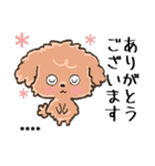 愛犬の名前になる♡トイプードルのカスタム（個別スタンプ：1）