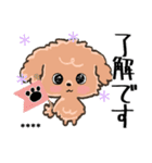 愛犬の名前になる♡トイプードルのカスタム（個別スタンプ：7）