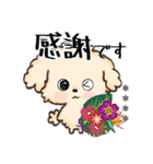 愛犬の名前になる♡トイプードルのカスタム（個別スタンプ：12）