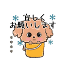 愛犬の名前になる♡トイプードルのカスタム（個別スタンプ：15）