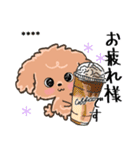 愛犬の名前になる♡トイプードルのカスタム（個別スタンプ：19）