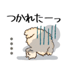 愛犬の名前になる♡トイプードルのカスタム（個別スタンプ：26）