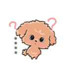 愛犬の名前になる♡トイプードルのカスタム（個別スタンプ：27）