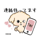 愛犬の名前になる♡トイプードルのカスタム（個別スタンプ：32）