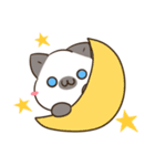 シャムねこ まろんさん 文字無しスタンプ（個別スタンプ：6）