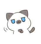 シャムねこ まろんさん 文字無しスタンプ（個別スタンプ：16）