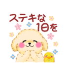 かわいい♥トイプードルの気づかい（個別スタンプ：6）