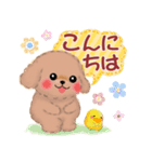 かわいい♥トイプードルの気づかい（個別スタンプ：9）