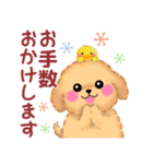 かわいい♥トイプードルの気づかい（個別スタンプ：11）