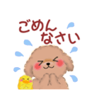かわいい♥トイプードルの気づかい（個別スタンプ：12）