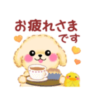 かわいい♥トイプードルの気づかい（個別スタンプ：13）
