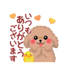 かわいい♥トイプードルの気づかい（個別スタンプ：18）