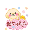 かわいい♥トイプードルの気づかい（個別スタンプ：19）