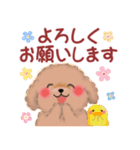 かわいい♥トイプードルの気づかい（個別スタンプ：21）