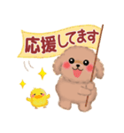 かわいい♥トイプードルの気づかい（個別スタンプ：27）