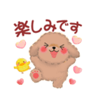 かわいい♥トイプードルの気づかい（個別スタンプ：30）