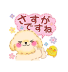 かわいい♥トイプードルの気づかい（個別スタンプ：31）