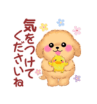 かわいい♥トイプードルの気づかい（個別スタンプ：32）
