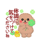 かわいい♥トイプードルの気づかい（個別スタンプ：35）