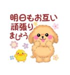 かわいい♥トイプードルの気づかい（個別スタンプ：36）