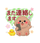 かわいい♥トイプードルの気づかい（個別スタンプ：38）