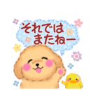 かわいい♥トイプードルの気づかい（個別スタンプ：39）