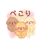 かわいい♥トイプードルの気づかい（個別スタンプ：40）