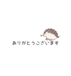 ずっと使える♪はりねずみ君の連絡ノート（個別スタンプ：5）