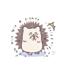 ずっと使える♪はりねずみ君の連絡ノート（個別スタンプ：38）