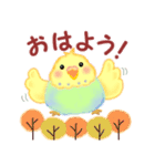 仲良しインコさん「秋から冬へ」（個別スタンプ：5）