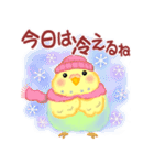 仲良しインコさん「秋から冬へ」（個別スタンプ：23）