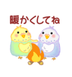仲良しインコさん「秋から冬へ」（個別スタンプ：24）