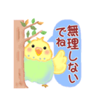 仲良しインコさん「秋から冬へ」（個別スタンプ：28）