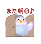 仲良しインコさん「秋から冬へ」（個別スタンプ：35）