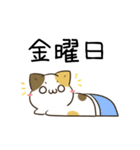 動く！毎日五月病なねこたち8（個別スタンプ：7）