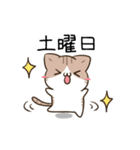 動く！毎日五月病なねこたち8（個別スタンプ：8）