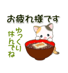 秋冬セーターのベビーにゃんこ（個別スタンプ：21）